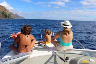Whale and dolphin watching private tour